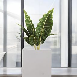 Go Hooked White & Green Cube-Shaped Durable Planter-17