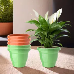 Kuber Industries Set Of 6 Orange-Coloured & Green Planter With Pot-1