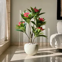 Mason Home Artificial Frangipani Puce Plant - 3 Feet-picture-36