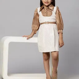 Macwin Velvet A-Line Dress-image-15