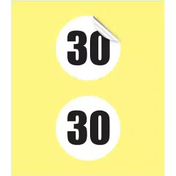 Sticker Bazaar M3 Number 30 Printed Labels 12 mm Dia 5100 Labels (Pack of 5)-33