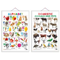 Alphabet and Domestic Animals and Pets Early Learning Educational Charts - English-13