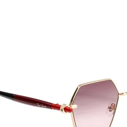 Ted Smith Unisex Hexagonal Sunglasses With UV Protected Lens ADIE_C4 image 4