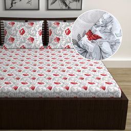 Divine Casa 144TC 100% Cotton Fitted Bedsheets Queen Size| Printed Double King Bed Size Elasticated Fitted Bedspread with 2 Pillow Covers-26