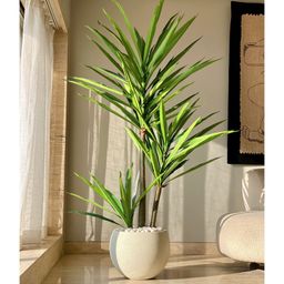 Mason Home Artificial Yucca Palm Plant - 6 Feet-image-17