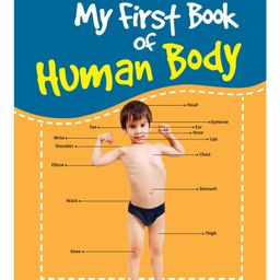 My First Book of Human Body Picture Book - English-16