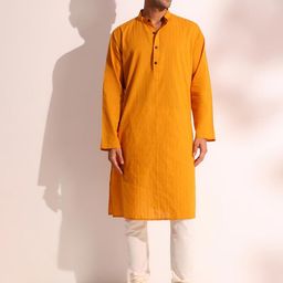 Fabindia Striped Band Collar Cotton Straight Kurta-31