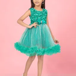 BAESD Net Fit & Flare Dress-picture-18
