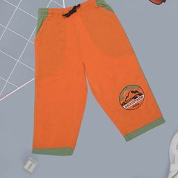 Dollar Champion Kidswear Boys Shorts-54