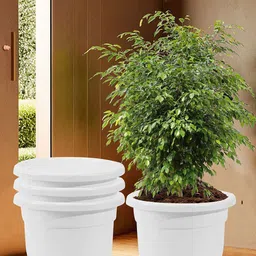 Kuber Industries 4-Pcs White Flower Pot With Removable Wheels-23