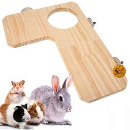 Natural Wood Platform Toy Cage Accessory Ideal for Birds, Hamsters, Rabbit Wooden Perch, Training Aid, Stick For Bird-image-85