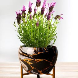 Nymph Black Flower Planters With Stand-image-45