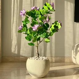Mason Home Artificial Lilac Bauhinia Plant - 3 Feet-picture-27