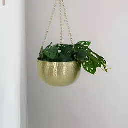 Royaloak Brown And Gold-Toned Textured Hanging Planter-image-64