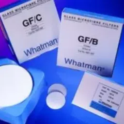 Whatman 150 mm Grade GF 10 Glass Filter With Organic Binder 10370308-picture-41
