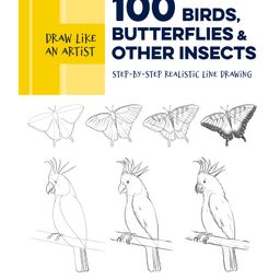Draw Like an Artist 100 Birds Butterflies and Other Insects Drawing Book by Melissa Washburn - English-17