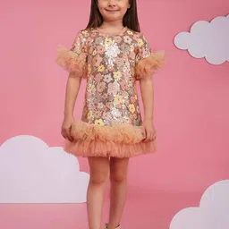 HOITY MOPPET Girls Round Neck Dress-picture-19