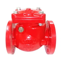LEHRY VALVES 2.1/2 inch, 65 mm Ductile Iron Swing Check Valve (F/E), LIV-CHK-DI-DFM-001-image-19