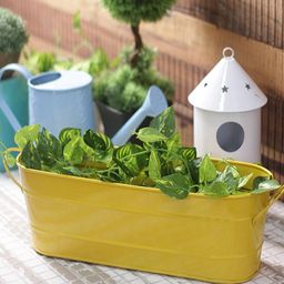 Green Girgit Oval Planter Large Yellow-12