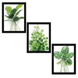 Indianara White & Green 3 Piece Canvas Floral and Botanical Wall Paintings-picture-40