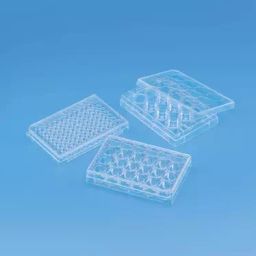 Tarson 24 Wells Sterile Tissue Culture Plate 980030 (Pack of 50)-image-8