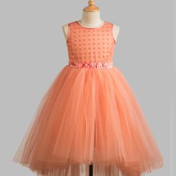 Toy Balloon Kids Net Sleeveless Polka Dots Foil Printed & Floral Applique Detailed High Low Dress - Dusty Rose-image-81