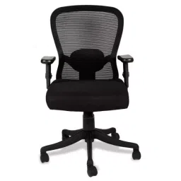 Ergonomica Black Mesh Darial Medium Back Ergonomicanomic Desk Chair-image-88