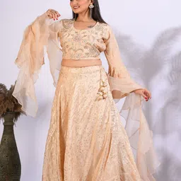 Morchari Embroidered Lehenga & Blouse With Frill Dupatta image 2