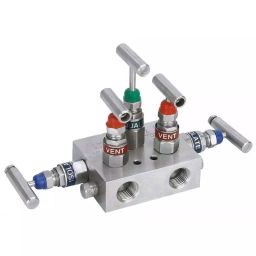 Chiffon H Type Manifold Valve 5 Way 6000 PSI Stainless Steel, CI/001/SS/193-picture-5
