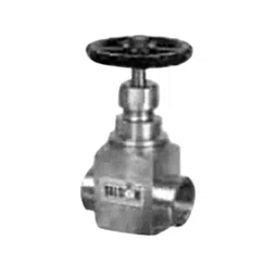 Valson 3/4 Inch SS 316 (G) Solid Gate Valve SS Parts Screwed BSP Female Thread-picture-40