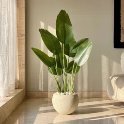 Mason Home Artificial Cavendish Traveller Plant - 4 Feet-picture-48