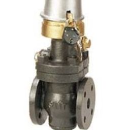 Sant 50 mm Cast Iron Pilot Operated R Type Reducing Valve CI 10-image-79