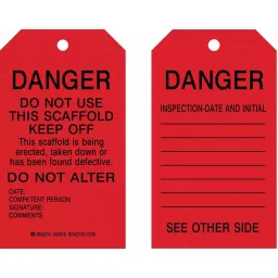 BRADY Inspection Received Tag 17.78 cm (7 Inch) Black & Red, 5ENZ7 (Pack of 10)-picture-30
