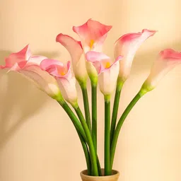 Elemntl Pink 5 Pieces Lily Core-picture-24