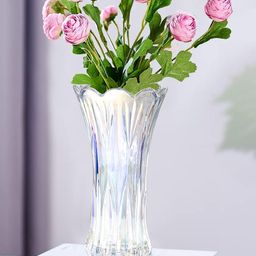 Ekhasa Transparent Glass Flower Vase-2