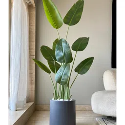 Mason Home Oasis Planters - Dark Grey (Large)-picture-24