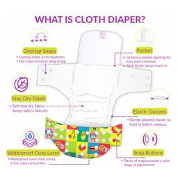 Bembika Reusable Cloth Diaper With Insert Pack of 4  Multicolour image 4
