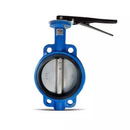 Advance Valves 2 Inch, 50 mm Cast Iron Butterfly Valve-image-43