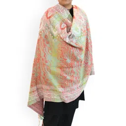 Vrinde Women Ethnic Motifs Printed Shawl-picture-47
