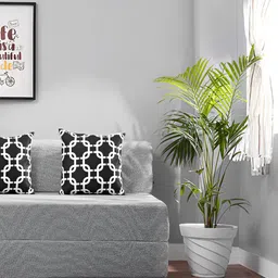 Solis Primus Comfort for all Foam Fold Out Sofa Cum Bed-image-59
