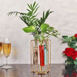 Triplets Test Tube Plants-image-8