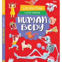 Board Book: Lift the Flap Look Inside Human Body- Activity Book for Children-7