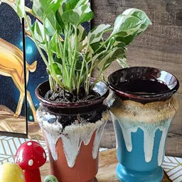 NIYARA 2 Pcs Brown & Blue Ceramic Planters-24