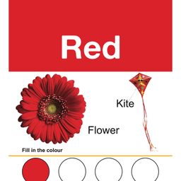 om books international My First Book of Colours Book - English image 3