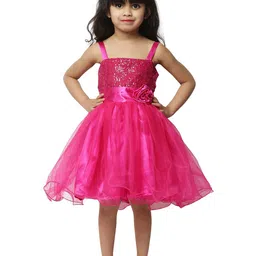Wish little Net A-Line Dress-14