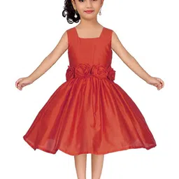Shahina Fashion Girls Corsage Detail Fit and Flare Dresses-image-86