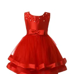 Pink Wings Embellished Net Fit & Flare Dress-picture-4
