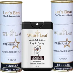 Herbal Smoke Cigarettes Premium Regular Flavoured With 20ml Anti Addiction Shot Smoking Cessations-image-4