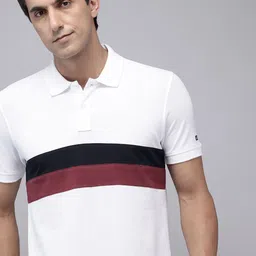 Arrow Sport Colourblocked Polo Collar Pure Cotton T-shirt-picture-28