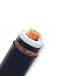 KEI 185 Sq.mm 3 Core 6.6 KV (UE) Aluminium Conductor Armoured HT Flat Strip Power Cable A2XCEFY-image-26